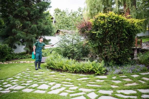 Best Residential Pest Control  in The Plains, OH