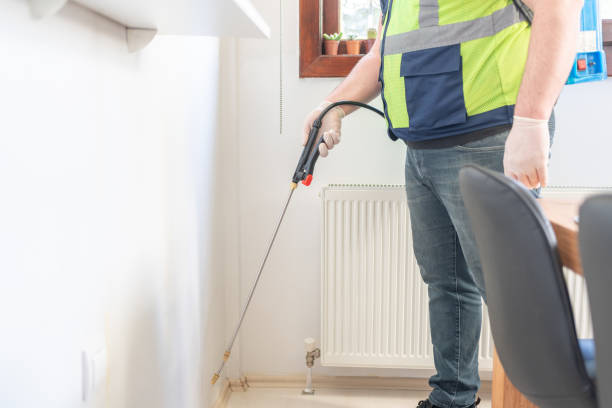 Best Affordable Pest Control Services  in The Plains, OH